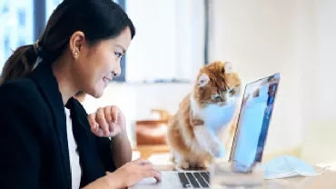 Person working on a laptop with a curious cat pawing at the screen.