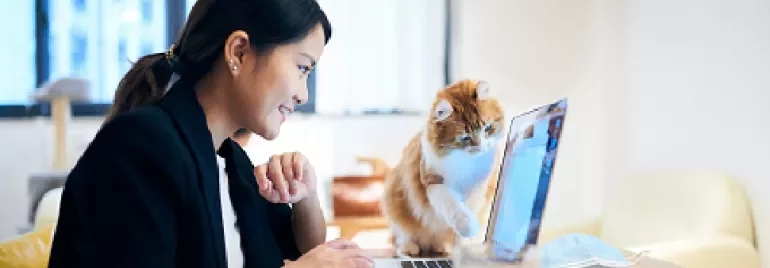 Person working on a laptop with a curious cat pawing at the screen.