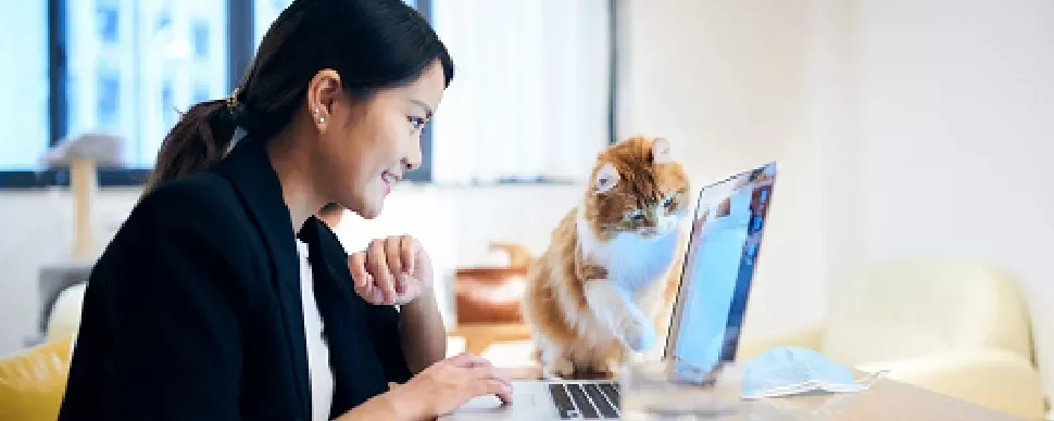 Person working on a laptop with a curious cat pawing at the screen.